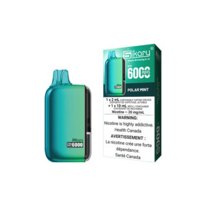 Polar Mint Sikary S6000 – Disposable Vape